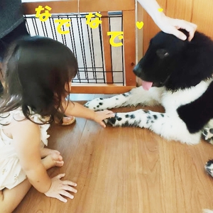 ☆幸せ報告 ニューファン君☆ ☆幸せ報告 ニューファン君☆