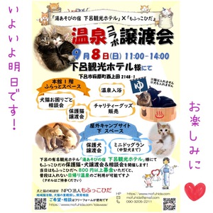 ☆いよいよ明日です!温泉コラボ譲渡会☆ ☆いよいよ明日です!温泉コラボ譲渡会☆