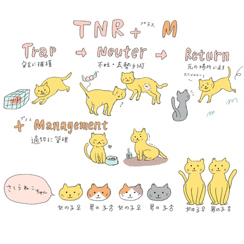 ★§★猫たちの発情シーズン真っただ中です!!★§★ ★§★猫たちの発情シーズン真っただ中です!!★§★