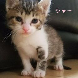☆家族のおかげ♡ ☆家族のおかげ♡