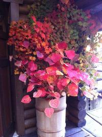 紅葉狩り☆