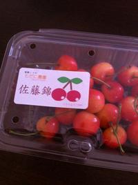 佐藤錦