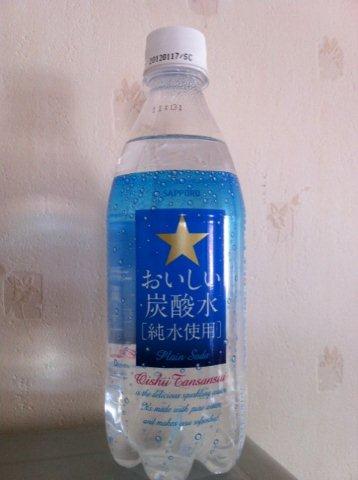 梅KA紫蘇