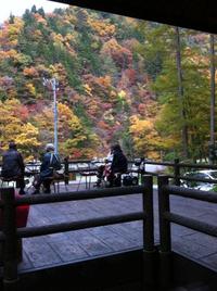 紅葉狩り☆
