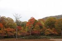 天生湿原の紅葉