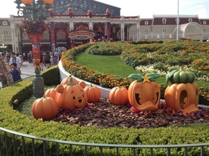 ディズニーリゾートに行ってきました