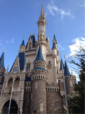 ディズニーリゾートに行ってきました