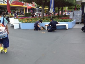 ディズニーリゾートに行ってきました