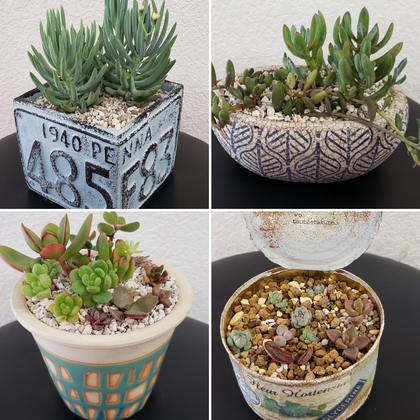 タニクenさん 閉店の前に(◦´꒳`◦) タニクenさん 閉店の前に(◦´꒳`◦)