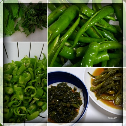 無農薬野菜頂いて♪ 無農薬野菜頂いて♪