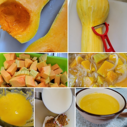 バターナッツかぼちゃでスープ作ったよ(๑´ڡ`๑) バターナッツかぼちゃでスープ作ったよ(๑´ڡ`๑)