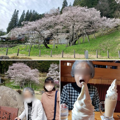 ❀桜❀桜❀桜❀とお出かけ色々♪ ❀桜❀桜❀桜❀とお出かけ色々♪