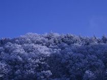 昨日の景色