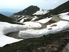 自転車で!