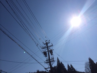 いい天気で、何よりだ