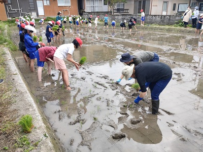 zimukyoku
