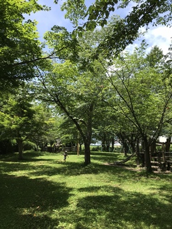 【暑い、だるい、疲れた!あなたが手にしたその栄養ドリンクに隠された驚くべき真実とは?】 【暑い、だるい、疲れた!あなたが手にしたその栄養ドリンクに隠された驚くべき真実とは?】