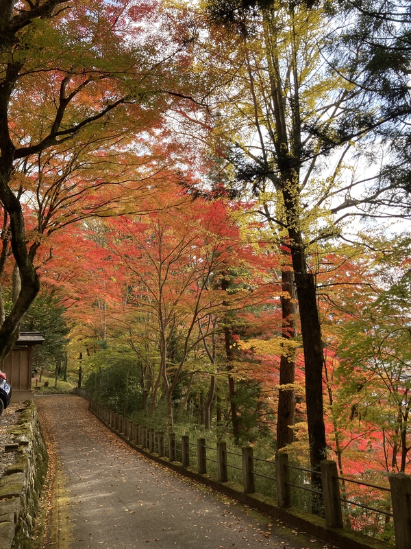 清見せせらぎ〜北山公園〜日枝神社(^^) 清見せせらぎ〜北山公園〜日枝神社(^^)