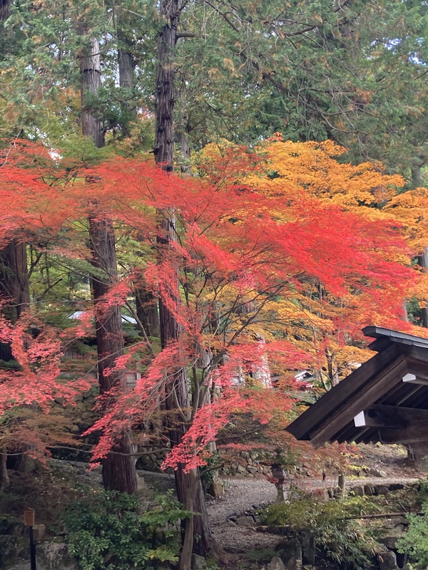 清見せせらぎ〜北山公園〜日枝神社(^^) 清見せせらぎ〜北山公園〜日枝神社(^^)