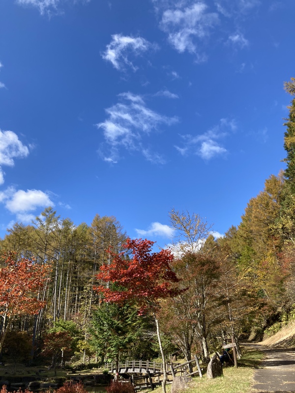 清見せせらぎ〜北山公園〜日枝神社(^^) 清見せせらぎ〜北山公園〜日枝神社(^^)