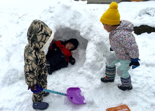 雪!かまくら!スキー! 雪!かまくら!スキー!