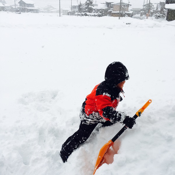 雪!かまくら!スキー! 雪!かまくら!スキー!