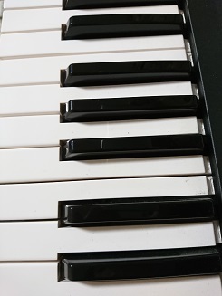 ブログをご覧になる際の注意事項 ブログをご覧になる際の注意事項