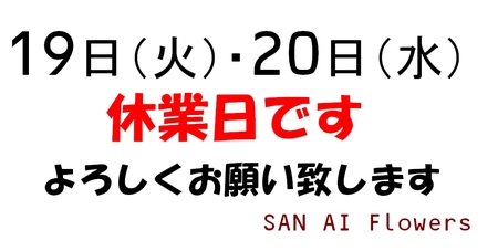 ばんそーこ☆