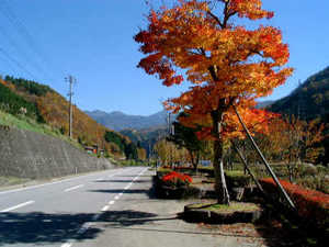 ぶら~っと、お先に紅葉満喫!