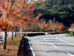 ぶら~っと、お先に紅葉満喫!