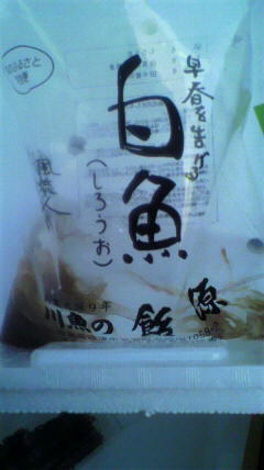 春を告げる魚