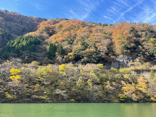庄川峡遊覧船 秋 庄川峡遊覧船 秋