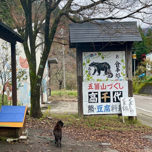 五箇山 高千代 五箇山 高千代