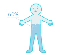 体の60%が水分で… 体の60%が水分で…