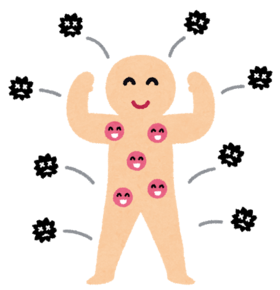 そうなると薬用人参とか! そうなると薬用人参とか!