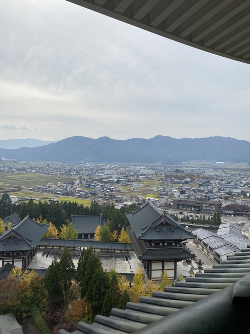 ライブ行く道の下見を兼ねて越前大仏♪ ライブ行く道の下見を兼ねて越前大仏♪