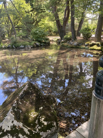 夏の思い出は火サスでお馴染みの 夏の思い出は火サスでお馴染みの