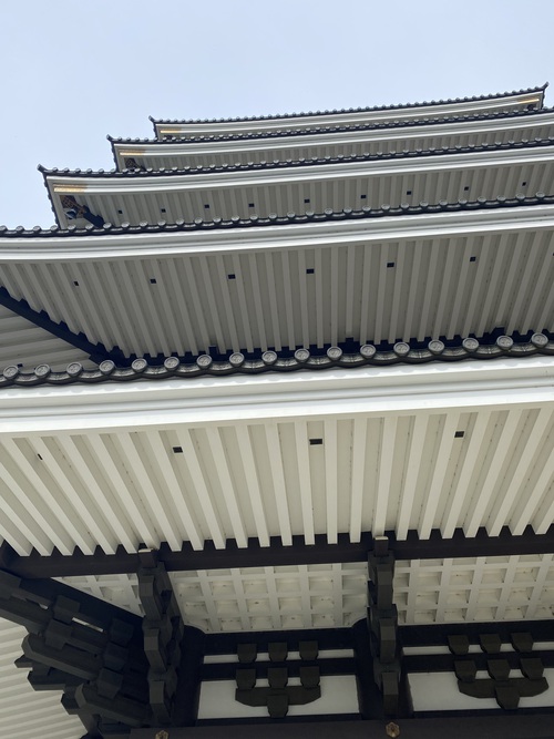 ライブ行く道の下見を兼ねて越前大仏♪ ライブ行く道の下見を兼ねて越前大仏♪