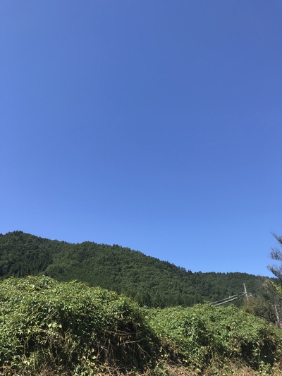 前倒しのご褒美♡ 前倒しのご褒美♡