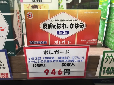 最後の遠足はカツサンド♪ 最後の遠足はカツサンド♪