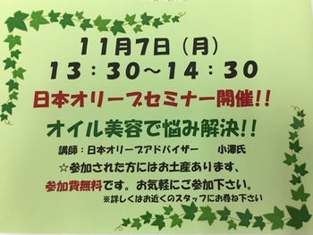 日本オリーブセミナー参加者再募集♪ 日本オリーブセミナー参加者再募集♪