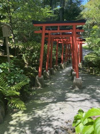 夏の思い出は火サスでお馴染みの 夏の思い出は火サスでお馴染みの