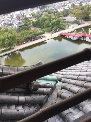 ゼロ磁場行って来ました! ゼロ磁場行って来ました!