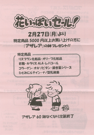 アザレアまだありますよ~♪ アザレアまだありますよ~♪