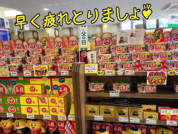 疲れ=若甦 疲れ=若甦