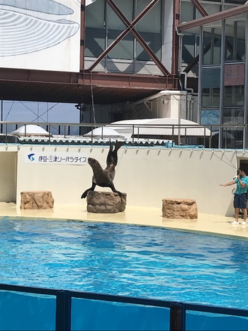 初めての伊豆旅行中♪ 初めての伊豆旅行中♪