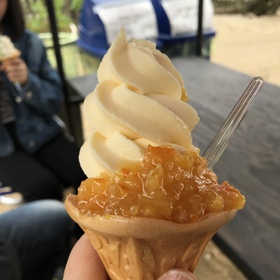 道後温泉〜広島の旅① 道後温泉〜広島の旅①