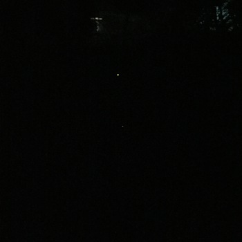 三枝小ホタルの夕べに♪ 三枝小ホタルの夕べに♪
