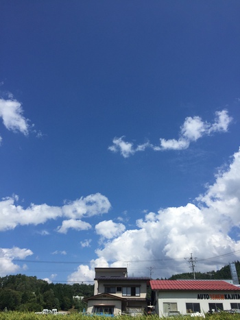 本当は怖かった。。 本当は怖かった。。
