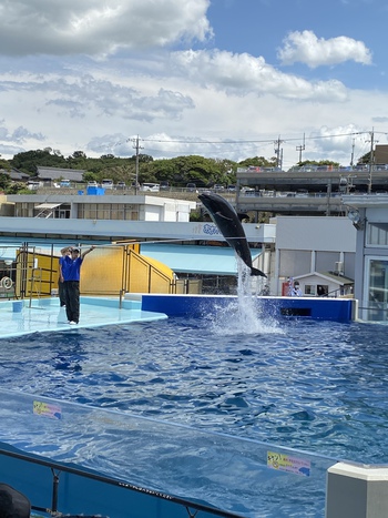 夏の思い出は火サスでお馴染みの 夏の思い出は火サスでお馴染みの